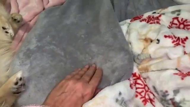 Всем наидобрейшего утречка и замечательного начала дня. смотреть онлайн