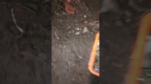 думал генератор а оказался компрессор кондиционера шумел. Рено Меган 2