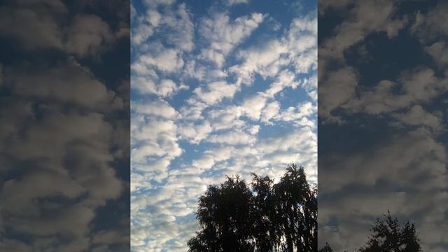 С Новым днём, пусть он будет счастливым ❤️❤️❤️ смотреть онлайн