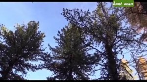 Охота на марала на Алтае