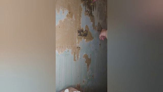 Ремонт дома своими руками. Как снять обои с гипсокартона. смотреть онлайн