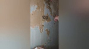 Ремонт дома своими руками. Как снять обои с гипсокартона.