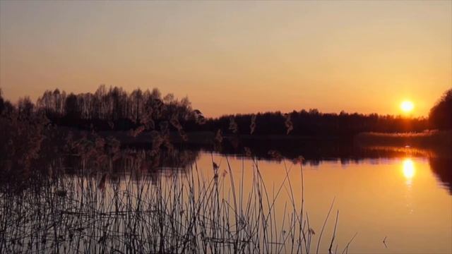 Deva Premal | Om Tare Tuttare Mantra Meditation смотреть онлайн