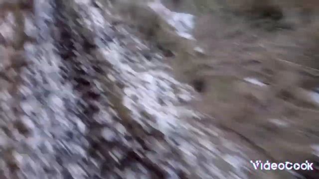 VLOG Белки бегут, кот спит. Поливаю цветы. Сколько во мне килограмм. На улице мороз смотреть онлайн