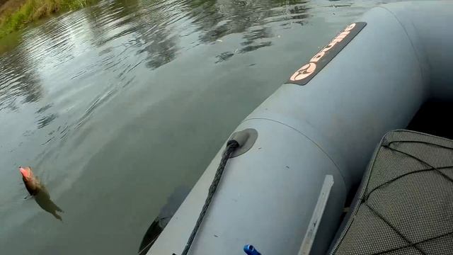 Цвет, который шокирует Щуку! Лучшая приманка для осени смотреть онлайн