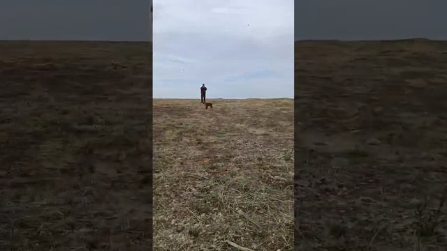 Варзуга, Кузомень, ловля горбуши, по рыбе болт и поэтому меняем дислокацию смотреть онлайн