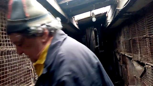 преимущества косяка /результаты окота