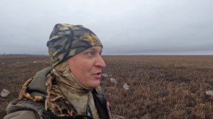 Охота на гуся в Оренбургской области. Весна 2024