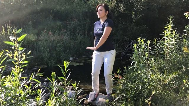 Цигун/qigong. Успокоить сердце и ум смотреть онлайн