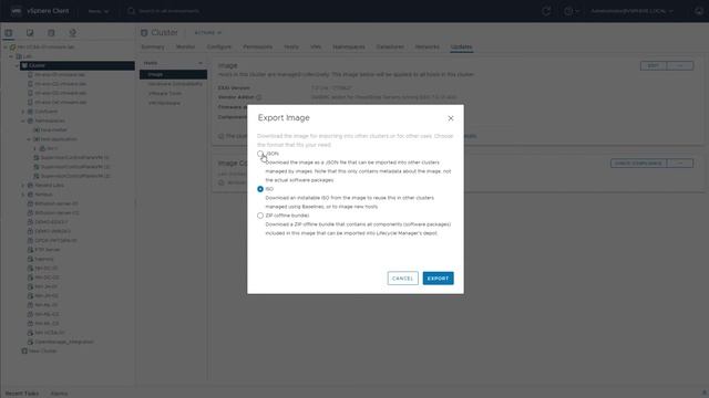 How to Import and Export vSphere Lifecycle Manager Data смотреть онлайн