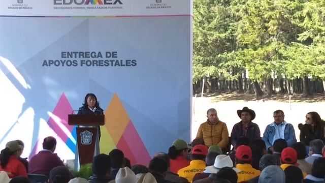 Alcaldesa de Donato Guerra esto pide a Alfredo del Mazo смотреть онлайн