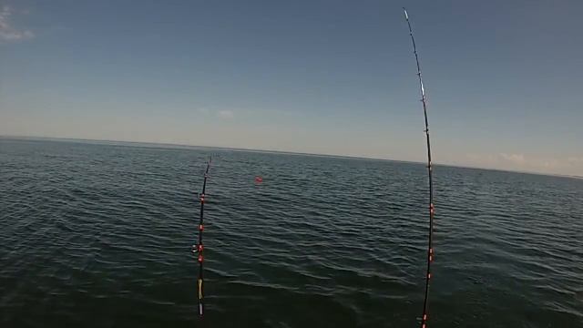 Кумжа на Балтике троллингом. Серебро Балтики. Почти 5 кг смотреть онлайн