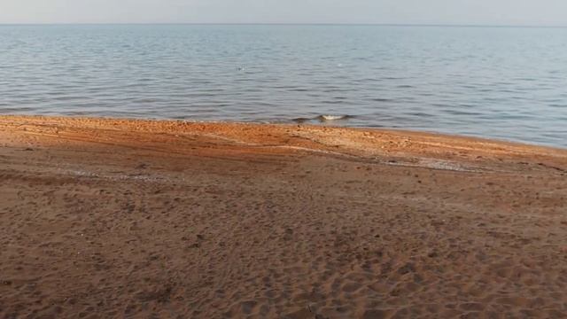 Кучугуры | 9 апреля 2023г #кучугуры #азовскоеморе