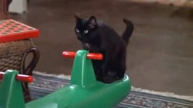 The Best Salem Moments from "A Doll's Story" смотреть онлайн