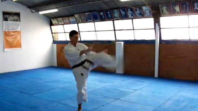 Uechi Ryu - Seichin - Kata
