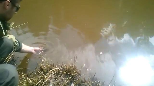 Рыбу из сетей вызволяем смотреть онлайн