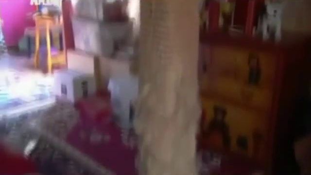 Американская короткошерстная кошка.mp4 смотреть онлайн