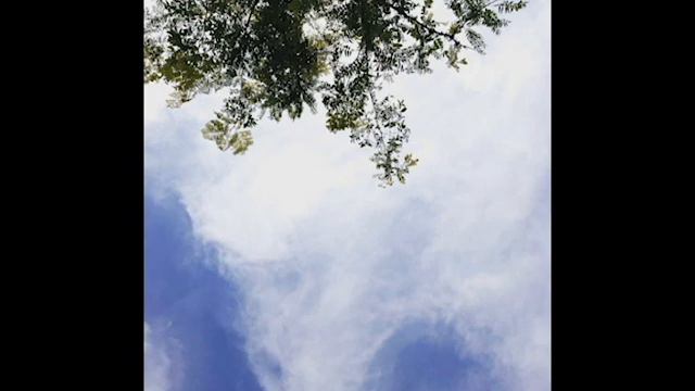 Sonnet for the Brown-Haired Girl смотреть онлайн