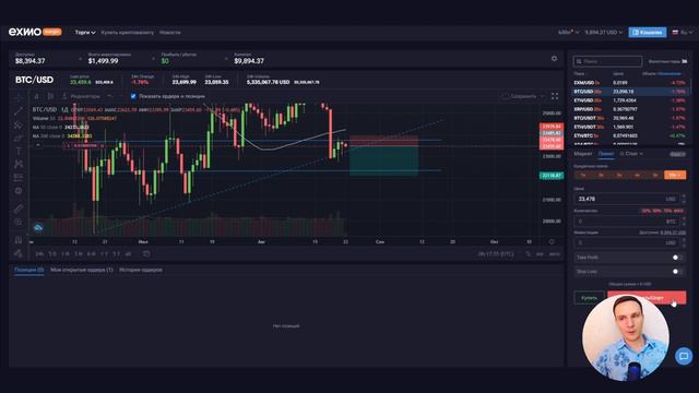 Опыт трейдера: разнополярные сделки: BTC/USD смотреть онлайн