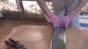 Кормушка для маленьких перепелят. Кормушка для перепелов