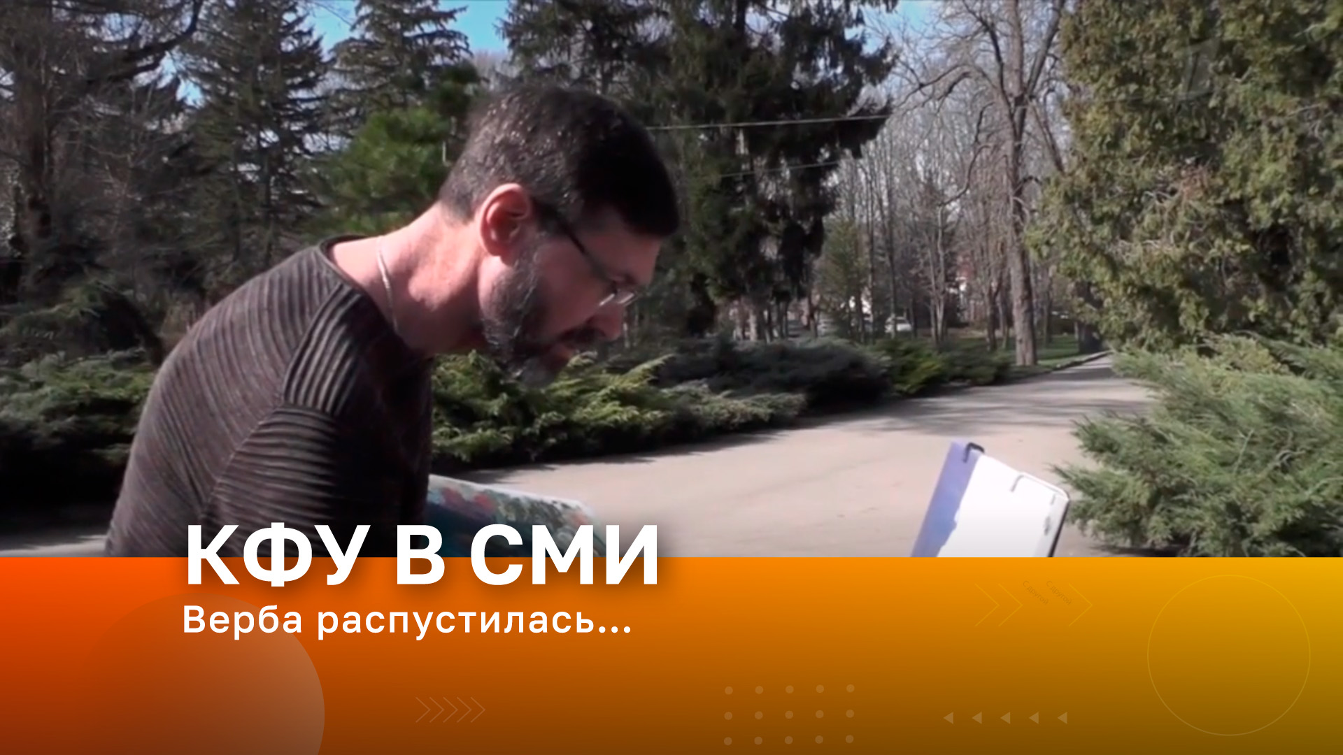 Верба распустилась…