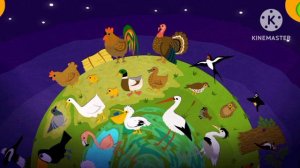 птицы учим животные