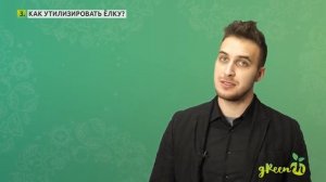 Какую ёлку выбрать: живую или искусственную?