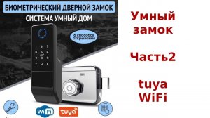 Биометрический замок. Подключение к tuya. Часть 2