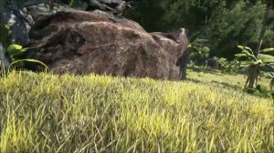 Лучшие методы фарма волокна в ARK Survival Evolved