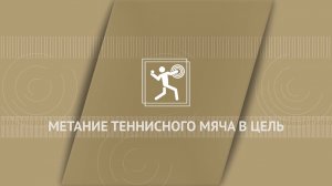 Метание теннисного мяча в цель