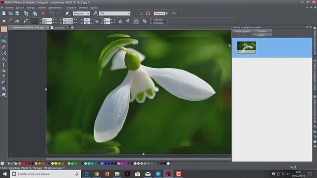 CURSO DE MAGIX PHOTO & GRAPHIC DESIGNER 2019 02 CONTROLES BÁSICOS Y HERRAMIENTAS DE SELECCIÓN смотреть онлайн
