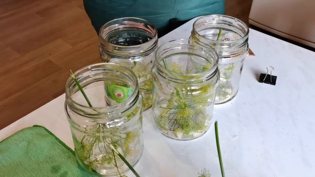 Вкусные рецепты с грибами