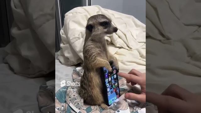 Удобная всё таки подставка! смотреть онлайн