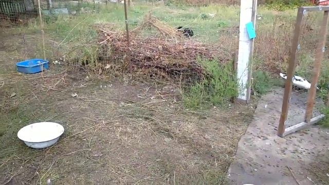 Решила проблему с водой//Новая входная дверь