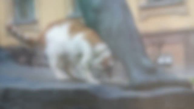 Интересные факты о России за 5 минут смотреть онлайн