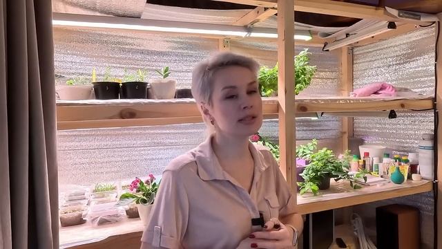 ПЕРВАЯ ПОДКОРМКА РАССАДЫ.2023 смотреть онлайн