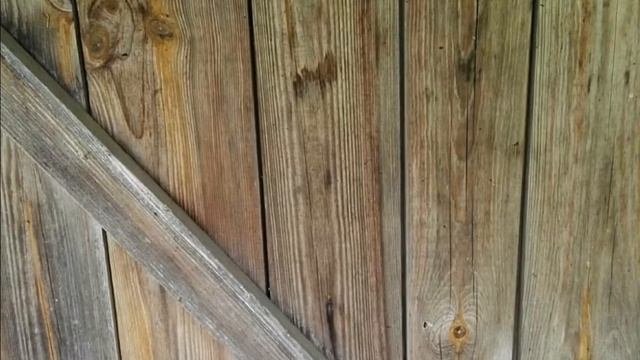 Прощайте, @dnevniki_babuli. Удаляю страницу в инст. Листаю фото оттуда. смотреть онлайн