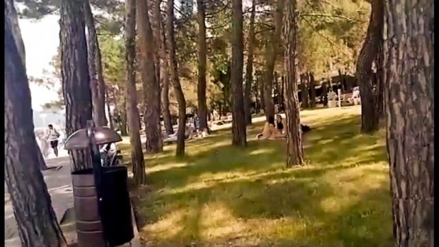 Сплошной позитив от набережной Геленджика смотреть онлайн