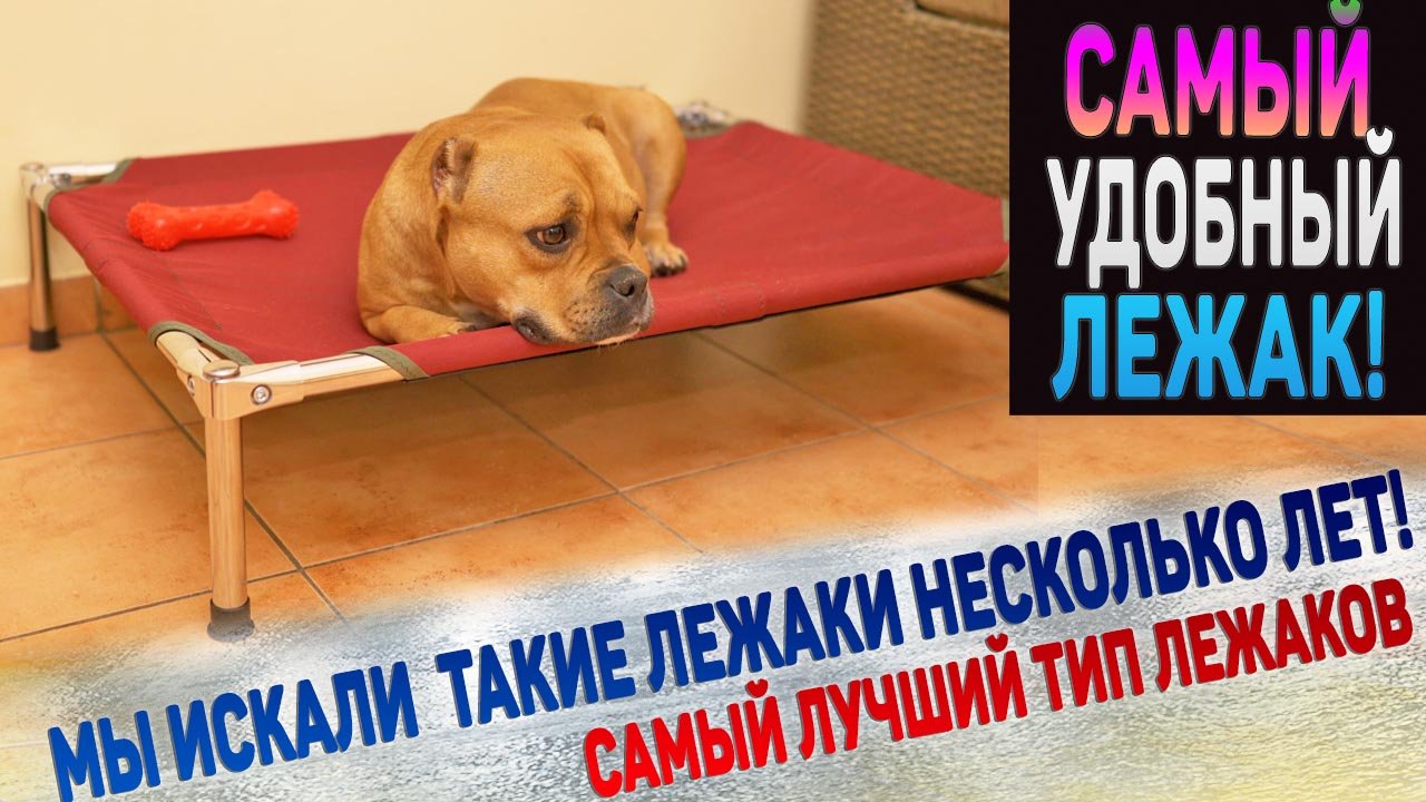 Вася и Леди первыми опробуют лежак гамак! Наш отзыв спустя 1 месяц использования. смотреть онлайн