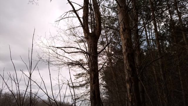 Судак, дубль 2. Далматово - Исеть. Музыка Yakuro - Spirit World (2003) смотреть онлайн