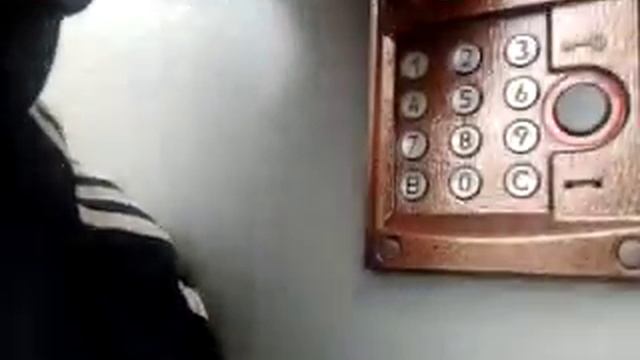 Проверка домофона - Виталик дома? смотреть онлайн