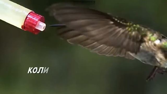 Скоростные камеры машинного зрения смотреть онлайн