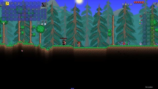 Что если использовать все аксессуары в Террарии? ? смотреть онлайн