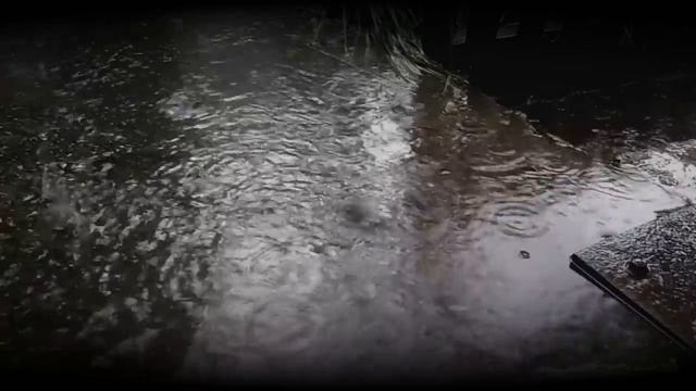 Затопленная комната. Софья Маркелова  Мистика. ИсторииТО