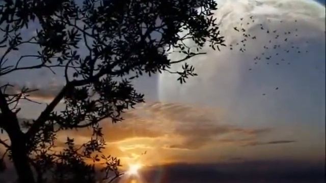 Азан #Azan #АЗОН