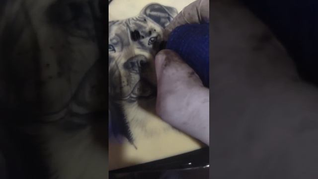 dog tattoo #art #arte #artist #artwork #tattoo смотреть онлайн
