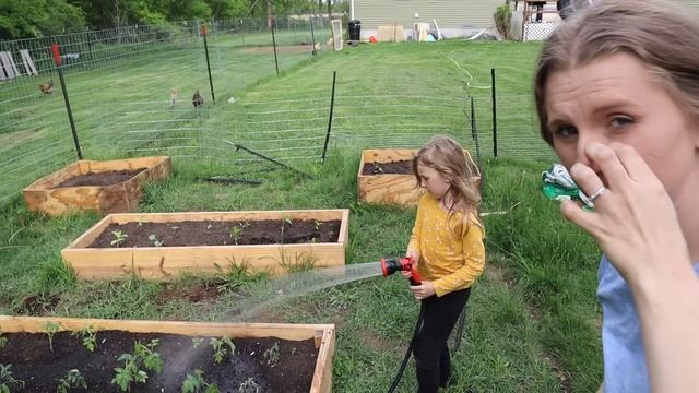 First Year On Our 2.5 ACRE HOMESTEAD (Homesteading Family)