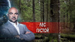 Лес густой. «Как устроен мир» с Тимофеем Баженовым.(17.02.2022).