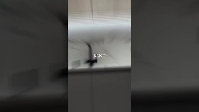 Завершенный проект: ремонт квартиры в Москве и сдача проекта заказчикам #ремонтмск #ремонтмосква смотреть онлайн