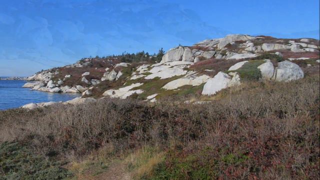 Polly's Cove, Tanner Hill, West Dover, Nova Scotia, Canada